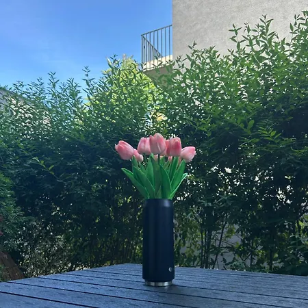 Salvia Ii Exklusiv & Smart & Terrasse Ii Dein City-apartment Apartman *